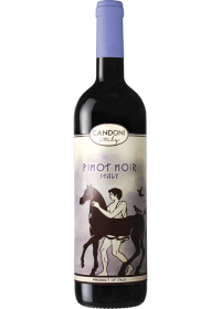 Candoni Organic Pinot Noir 750ml